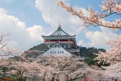 <strong>2024年日本出国留学培训项目招生简章</strong>